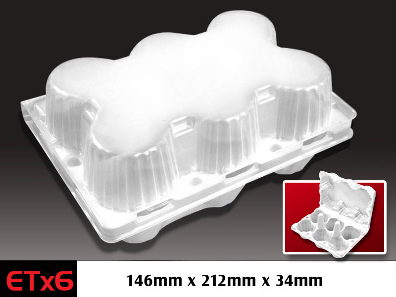 Egg Tray x6
